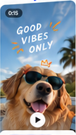 Good Vibes Reel